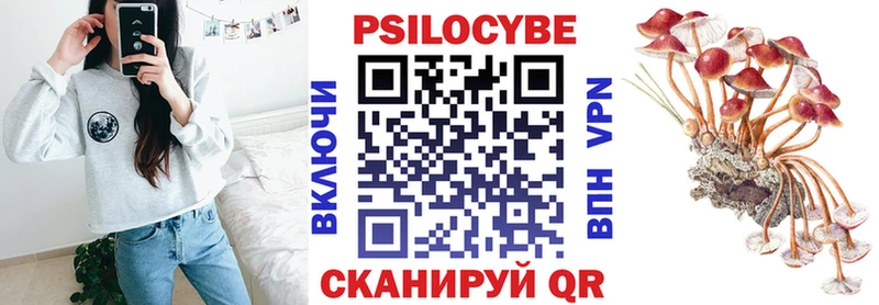 что такое   Яхрома  Псилоцибиновые грибы GOLDEN TEACHER 